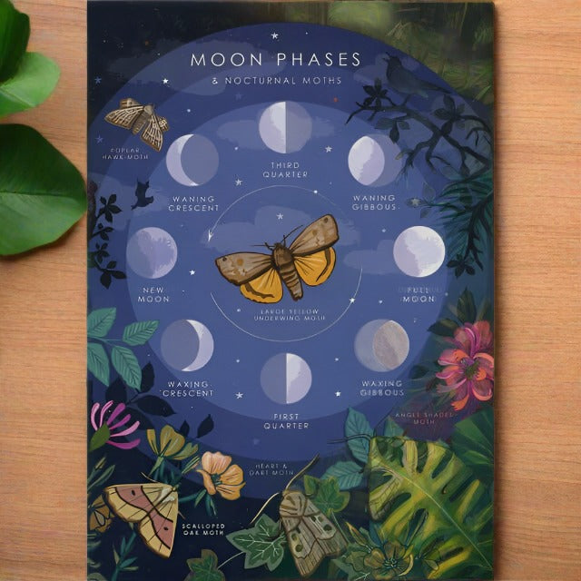 A greetings card with the title Moon Phases and Nocturnal Moths. The design features a night sky with different moon phrases.