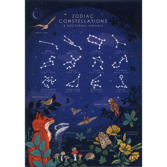 The front design of the card featuring a night sky, different star sign Zodiac constellations and nocturnal woodland animals.